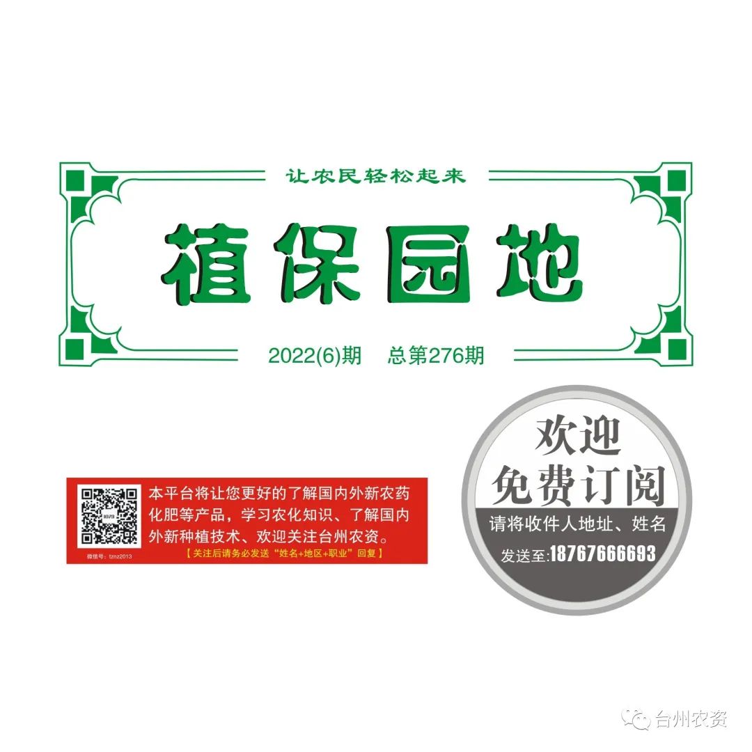 雜交水稻制種增施必奧硅<div   id=